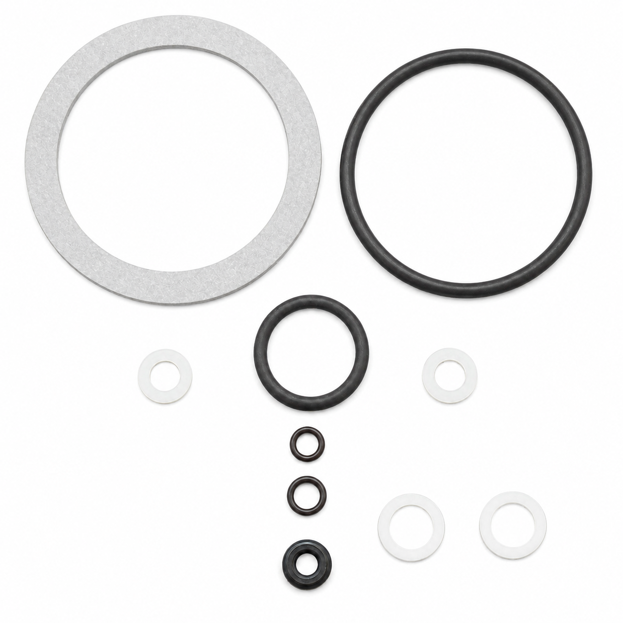 Kit completo guarnizioni La Pavoni Professional R01 LP394609